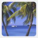 Search for negril stickers Palm tree