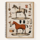 Search for races notebooks Equestrian