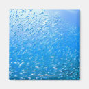 Recherche de nageant magnets Dehors
