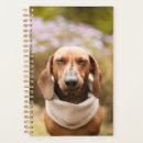 Recherche de teckels bureau fournitures Dachshund