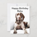 Search for german shorthaired pointers postcards Funny