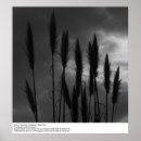 Search for santa cruz posters Ucsc