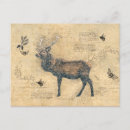 Recherche de wapiti cartes postales Animal