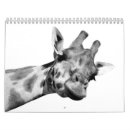 Search for giraffe calendars Safari