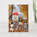Search for funny dog thanksgiving cards Humour