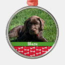 Search for new dog ornaments Puppy