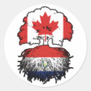 Recherche de drapeau paraguay autocollants Paraguayen