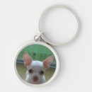Recherche de chiwawa porteclés Chiot