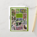 Search for falcone photography Birds