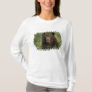 Search for brown bear tshirts Mammal