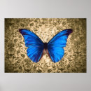 Recherche de damas posters Papillon