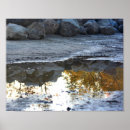 Search for puddle posters Nature