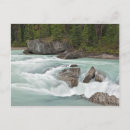 Search for yoho postcards River