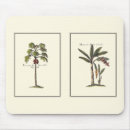 Recherche de palmier tapis souris Arbres