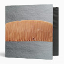 Search for knife binders Egyptian