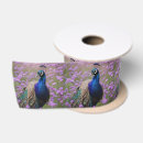 Search for peacock ribbon Bird