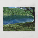 Search for deep forest postcards Landscape