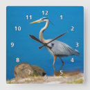 Search for great wall Herons
