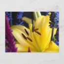 Search for flower arrangement postcards Blue