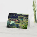 Search for allotment cards Flowers