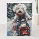 Search for bichon christmas cards Animal