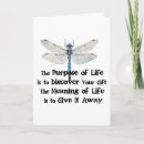 Search for bug life Dragonfly