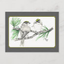 Search for kinglets Bird