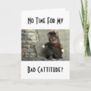 Recherche de catitude cartes postales Humour