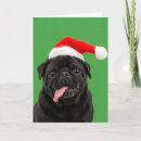 Search for black pug cards Funny