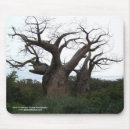Search for senegal mousepads Africa