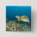 Search for tranquility buttons Ocean