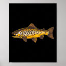 Search for lures posters Ocean