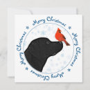 Search for labrador retriever christmas cards Dog lovers
