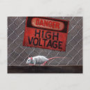 Recherche de rattie cartes postales Blanc