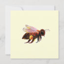 Search for flying insects cards Nature