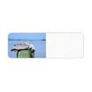 Search for river return address labels White