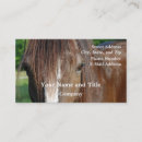Recherche de jument cheval cartes visite Équestre