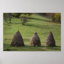 Recherche de paille posters Pour tous