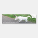 Recherche de berger allemand blanc voiture autocollants Alsacien