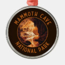 Search for cave ornaments Mammoth cave national park