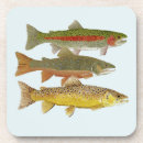 Search for trout coasters Salmon