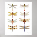 Recherche de drone posters Nature