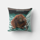 Search for orangutan pillows Primate