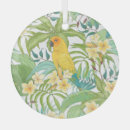 Recherche de plumeria ornements Jaune