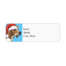 Search for dog walker return address labels Coonhound