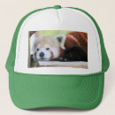Search for endangered hats Cute
