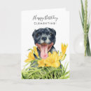 Search for pitbull birthday cards Dog