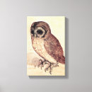 Recherche de owl painting canvas prints Aux peintures de owl