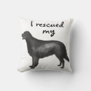 Search for flatcoat Flat coated retriever
