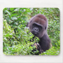 Search for gorilla mousepads Nature